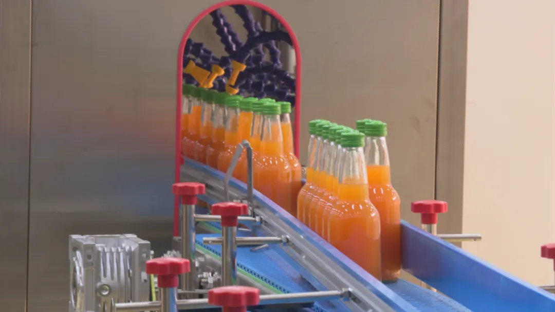 1763107077209693.png 11.png